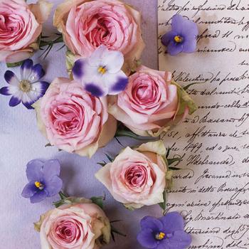 Roses and Violets – Servietten 33x33 cm