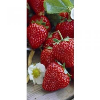 Erdbeeren – Bistroservietten 8,25x16,5 cm